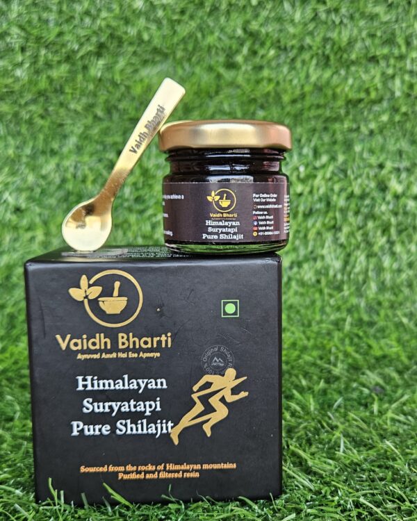 Shilajit - Image 3